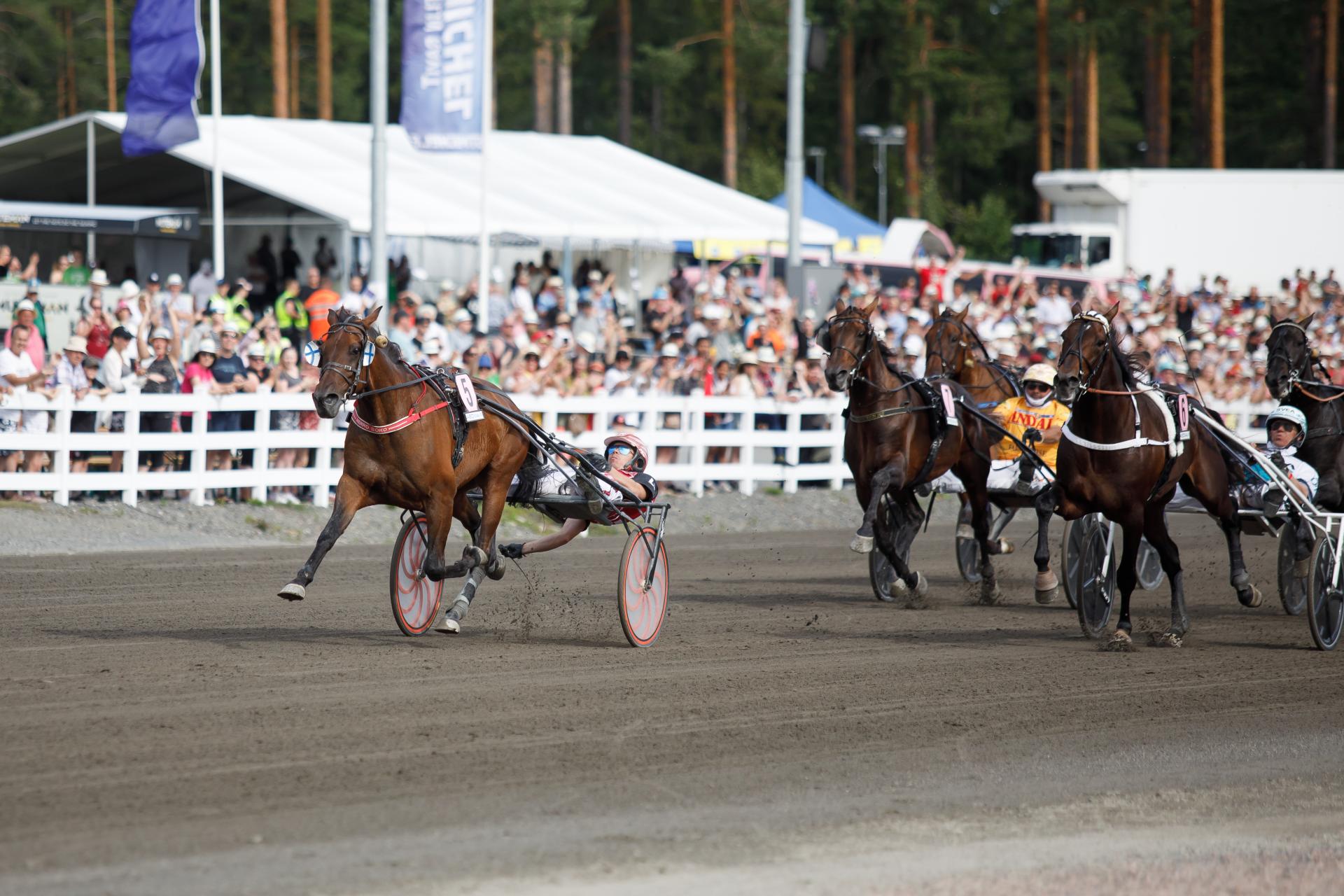 Ravihevonen ravaa ohjastajineen Mikkelin raviradalla.